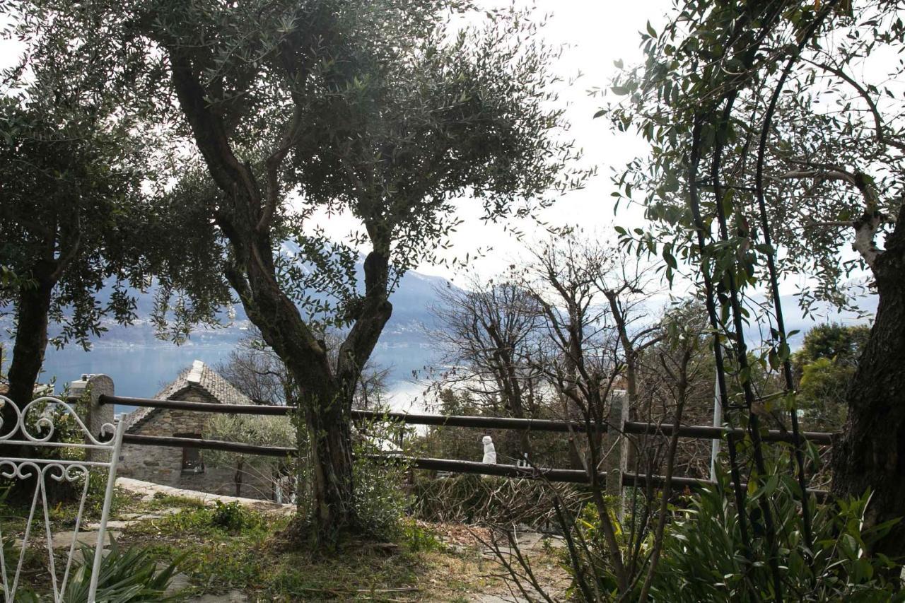 Casa Alma Grotto Lejlighed Brione sopra Minusio Eksteriør billede